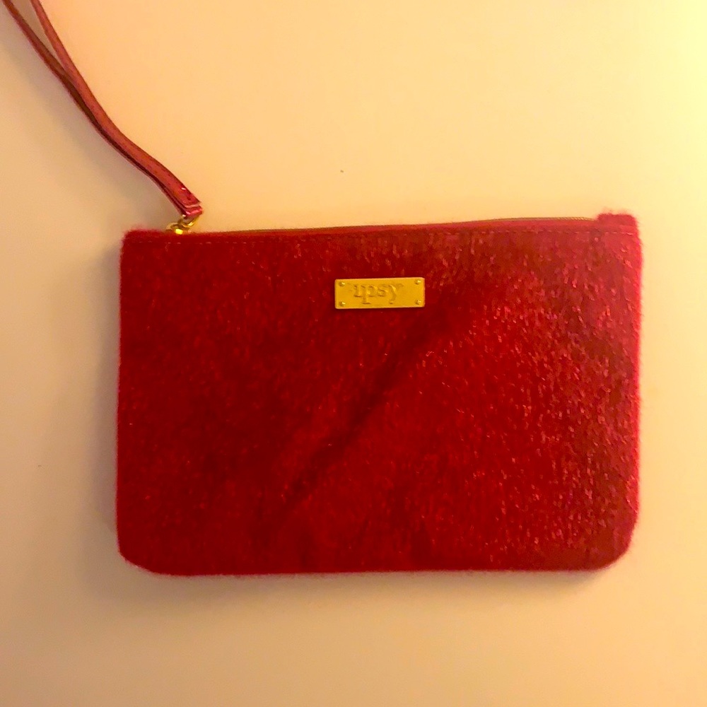 🎁✨2/$8 3/$10 5/$15 Assorted Ipsy bags